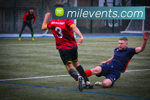 米乐m6平台生态图