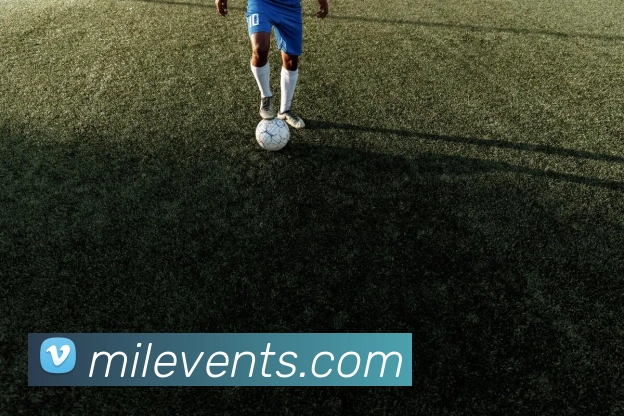 米乐m6APP 封面图